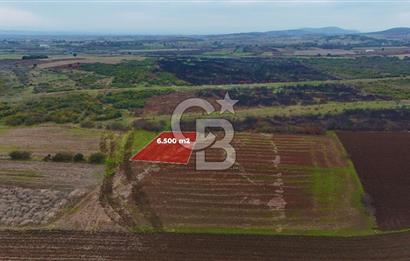 Çanakkale Biga Kocagür Köyünde Satılık 6500 m2 Tarla !