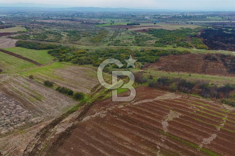 Çanakkale Biga Kocagür Köyünde Satılık 6500 m2 Tarla !