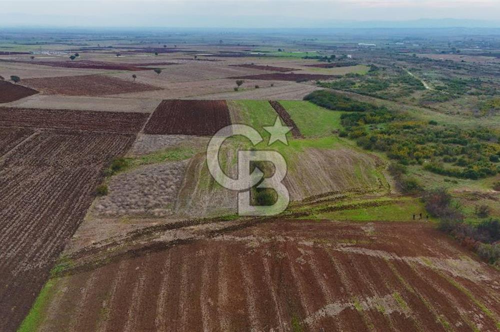 Çanakkale Biga Kocagür Köyünde Satılık 6500 m2 Tarla !