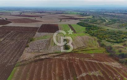 Çanakkale Biga Kocagür Köyünde Satılık 6500 m2 Tarla !
