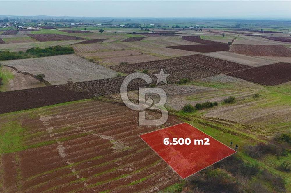 Çanakkale Biga Kocagür Köyünde Satılık 6500 m2 Tarla !