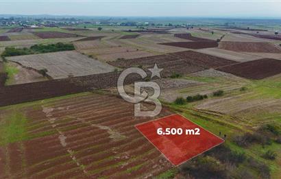 Çanakkale Biga Kocagür Köyünde Satılık 6500 m2 Tarla !