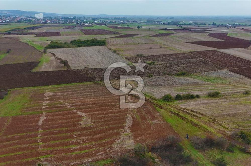 Çanakkale Biga Kocagür Köyünde Satılık 6500 m2 Tarla !