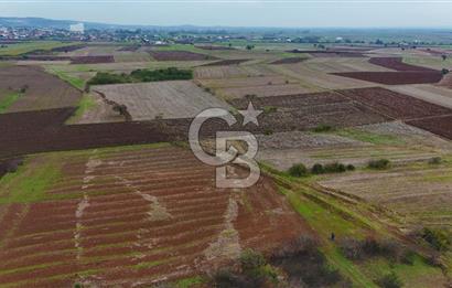 Çanakkale Biga Kocagür Köyünde Satılık 6500 m2 Tarla !
