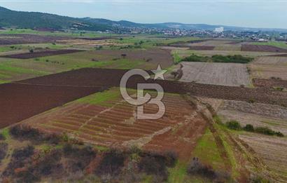 Çanakkale Biga Kocagür Köyünde Satılık 6500 m2 Tarla !