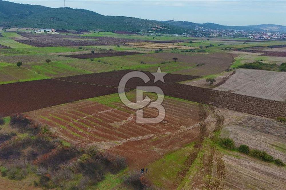 Çanakkale Biga Kocagür Köyünde Satılık 6500 m2 Tarla !