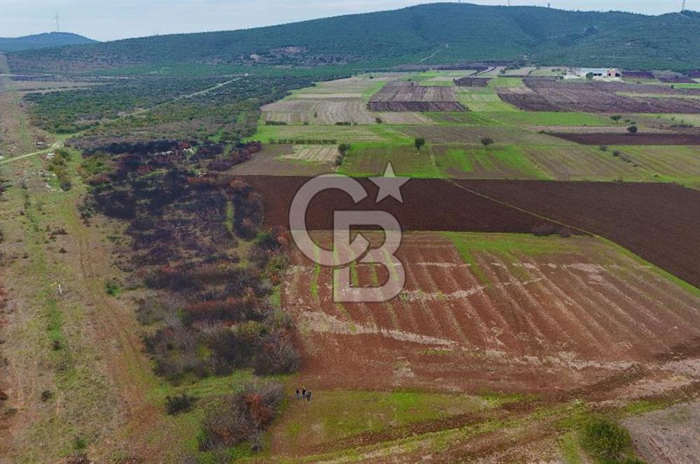 Çanakkale Biga Kocagür Köyünde Satılık 6500 m2 Tarla !