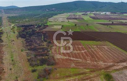 Çanakkale Biga Kocagür Köyünde Satılık 6500 m2 Tarla !