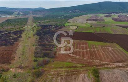 Çanakkale Biga Kocagür Köyünde Satılık 6500 m2 Tarla !