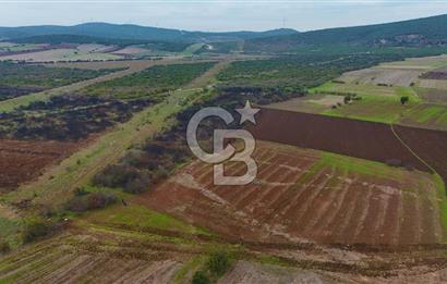 Çanakkale Biga Kocagür Köyünde Satılık 6500 m2 Tarla !