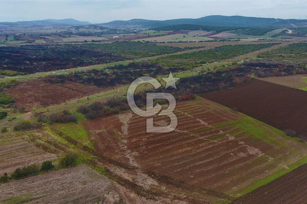 Çanakkale Biga Kocagür Köyünde Satılık 6500 m2 Tarla !
