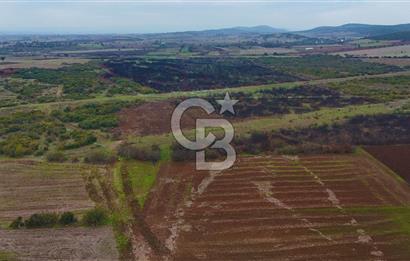 Çanakkale Biga Kocagür Köyünde Satılık 6500 m2 Tarla !