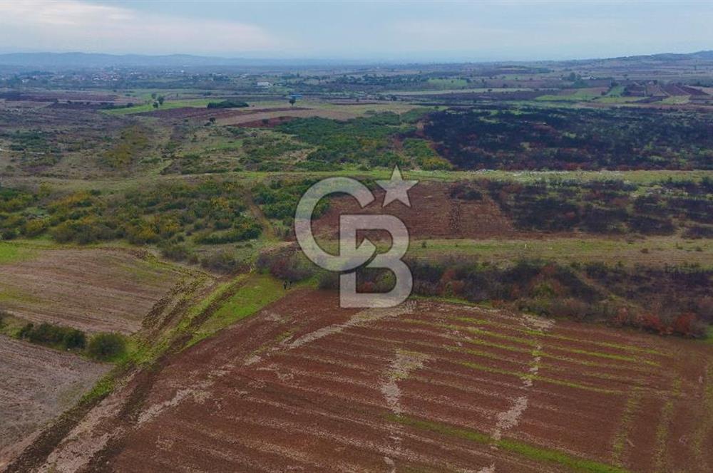 Çanakkale Biga Kocagür Köyünde Satılık 6500 m2 Tarla !
