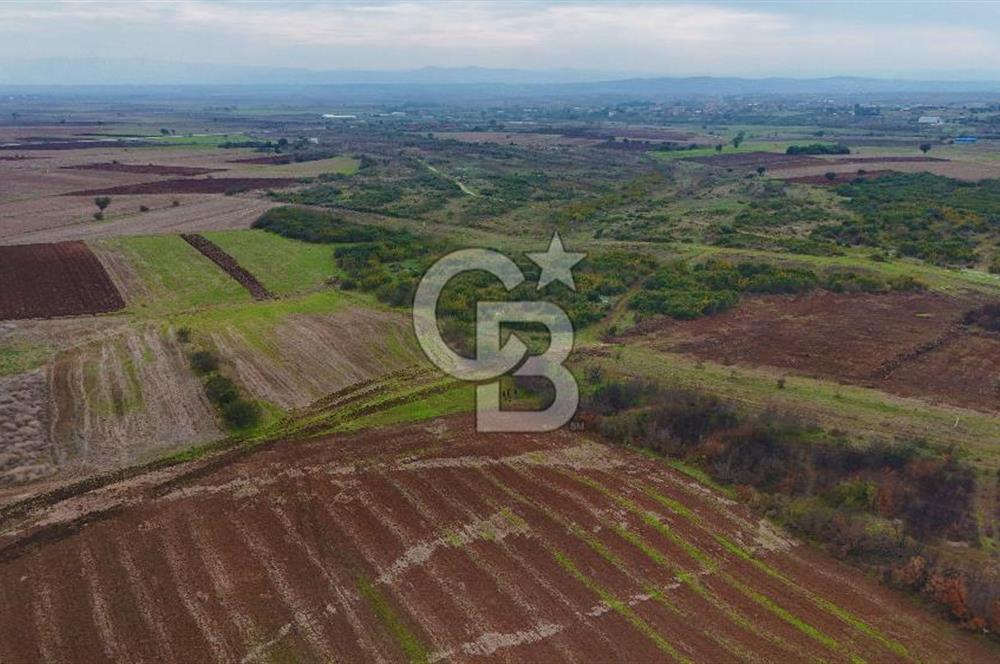 Çanakkale Biga Kocagür Köyünde Satılık 6500 m2 Tarla !