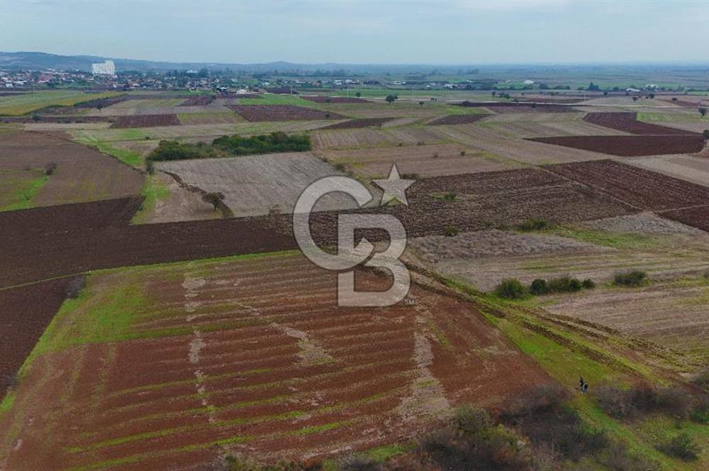 Çanakkale Biga Kocagür Köyünde Satılık 6500 m2 Tarla !