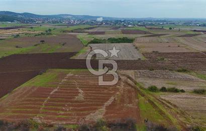Çanakkale Biga Kocagür Köyünde Satılık 6500 m2 Tarla !