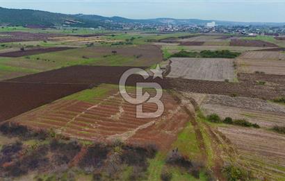 Çanakkale Biga Kocagür Köyünde Satılık 6500 m2 Tarla !