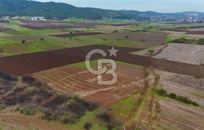 Çanakkale Biga Kocagür Köyünde Satılık 6500 m2 Tarla !