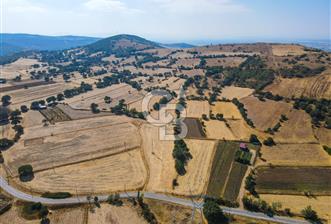 Ayvatlar’da satılık 13.517 metre² yatırma uygun tarla - 5 - 311440