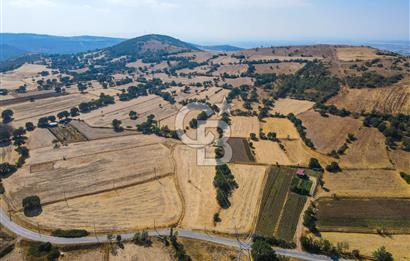 Ayvatlar’da satılık 13.517 metre² yatırma uygun tarla