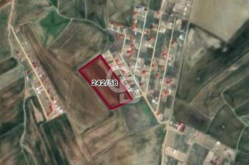 AYAŞ GÖKLER MAHALLESİNDE 10.329 m2 TEK TAPU TARLA