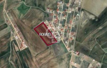 AYAŞ GÖKLER MAHALLESİNDE 10.329 m2 TEK TAPU TARLA