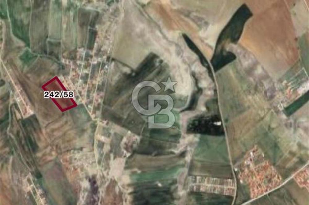 AYAŞ GÖKLER MAHALLESİNDE 10.329 m2 TEK TAPU TARLA