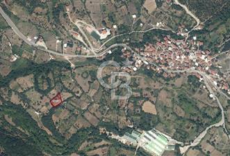 CB CLASS SATILIK ÇAYBAŞI KADASTRO YOLU MEVCUT ARAZİ - 6 - 311439