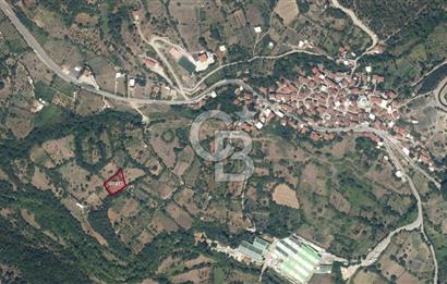 CB CLASS SATILIK ÇAYBAŞI KADASTRO YOLU MEVCUT ARAZİ