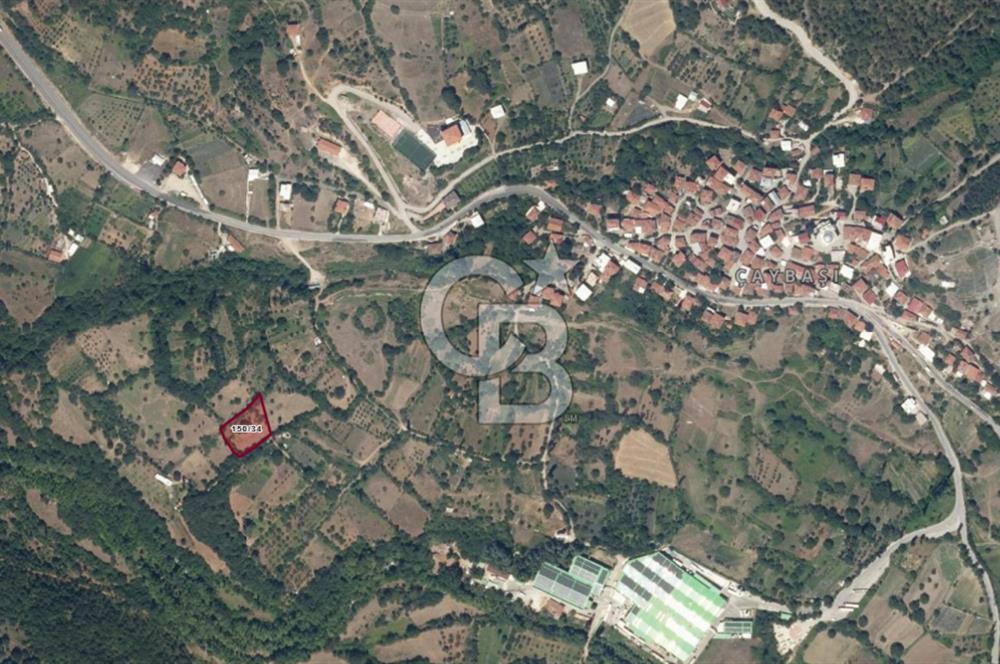 CB CLASS SATILIK ÇAYBAŞI KADASTRO YOLU MEVCUT ARAZİ