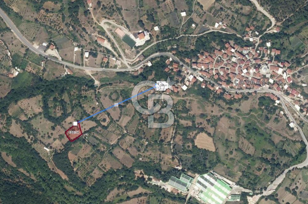 CB CLASS SATILIK ÇAYBAŞI KADASTRO YOLU MEVCUT ARAZİ