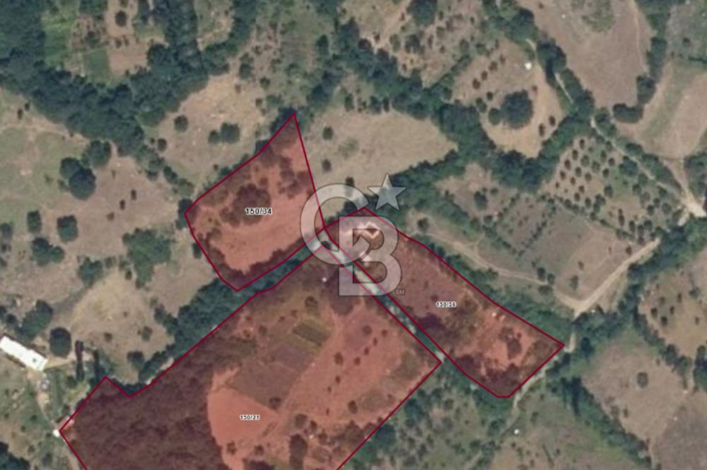 CB CLASS SATILIK ÇAYBAŞI KADASTRO YOLU MEVCUT ARAZİ