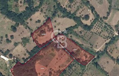 CB CLASS SATILIK ÇAYBAŞI KADASTRO YOLU MEVCUT ARAZİ