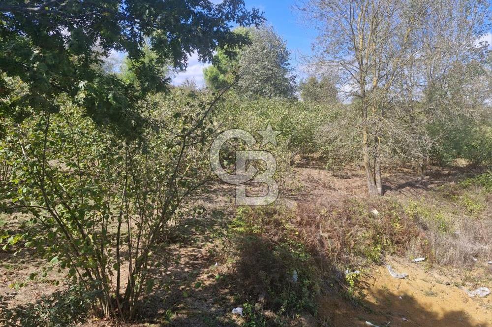 SAKARYA KAYNARCA ORTAKÖY'DE SATILIK 3+1 DUBLEKS VİLLA