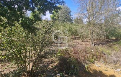 SAKARYA KAYNARCA ORTAKÖY'DE SATILIK 3+1 DUBLEKS VİLLA