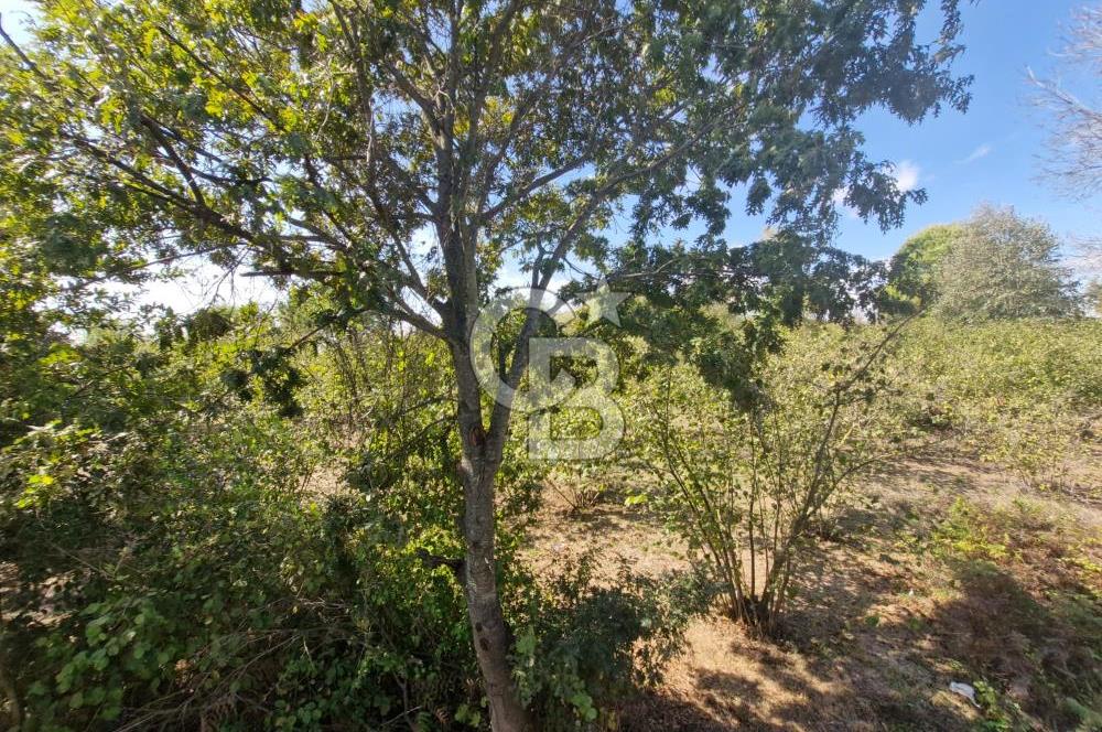 SAKARYA KAYNARCA ORTAKÖY'DE SATILIK 3+1 DUBLEKS VİLLA