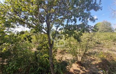 SAKARYA KAYNARCA ORTAKÖY'DE SATILIK 3+1 DUBLEKS VİLLA