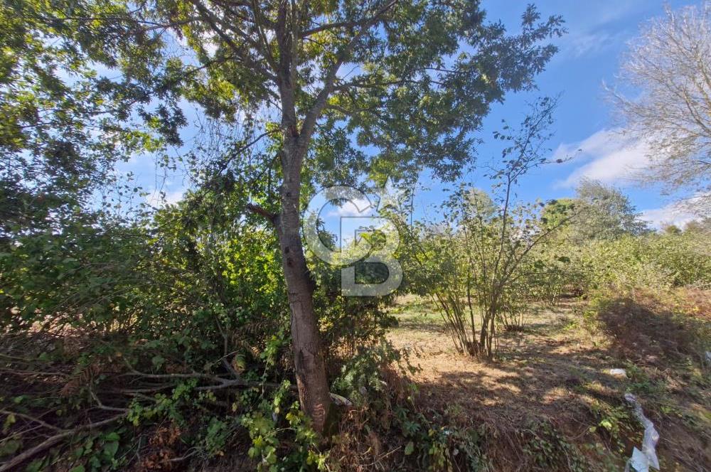 SAKARYA KAYNARCA ORTAKÖY'DE SATILIK 3+1 DUBLEKS VİLLA