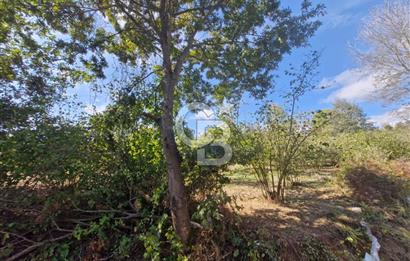 SAKARYA KAYNARCA ORTAKÖY'DE SATILIK 3+1 DUBLEKS VİLLA