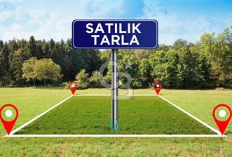 MENEMEN SÜLEYMANLI KÖYÜ SATILIK 24.285 m2 ARSA - 7 - 311511