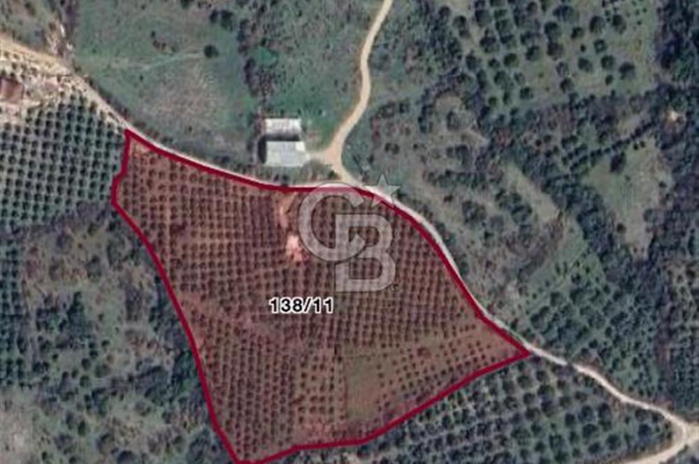 MENEMEN SÜLEYMANLI KÖYÜ SATILIK 24.285 m2 ARSA