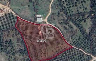 MENEMEN SÜLEYMANLI KÖYÜ SATILIK 24.285 m2 ARSA