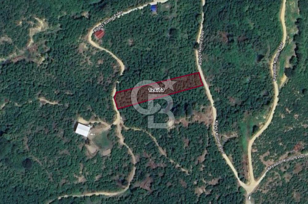 AKÇAKOCA'DA 2000 M2 MÜSTAKİL TAPULU 2 YOLA CEPHE SATILIK ARSA