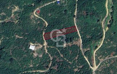 AKÇAKOCA'DA 2000 M2 MÜSTAKİL TAPULU 2 YOLA CEPHE SATILIK ARSA