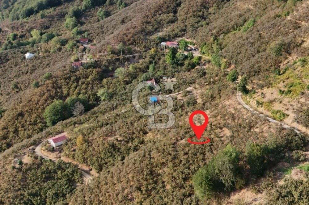 AKÇAKOCA'DA 2000 M2 MÜSTAKİL TAPULU 2 YOLA CEPHE SATILIK ARSA