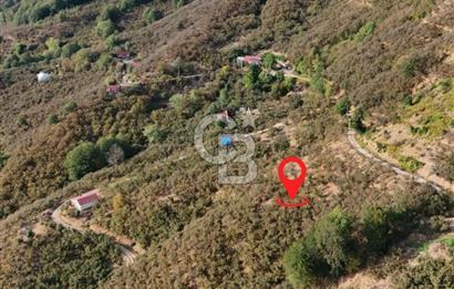 AKÇAKOCA'DA 2000 M2 MÜSTAKİL TAPULU 2 YOLA CEPHE SATILIK ARSA