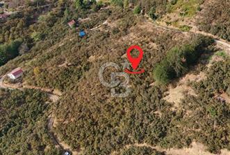 AKÇAKOCA'DA 2000 M2 MÜSTAKİL TAPULU 2 YOLA CEPHE SATILIK ARSA