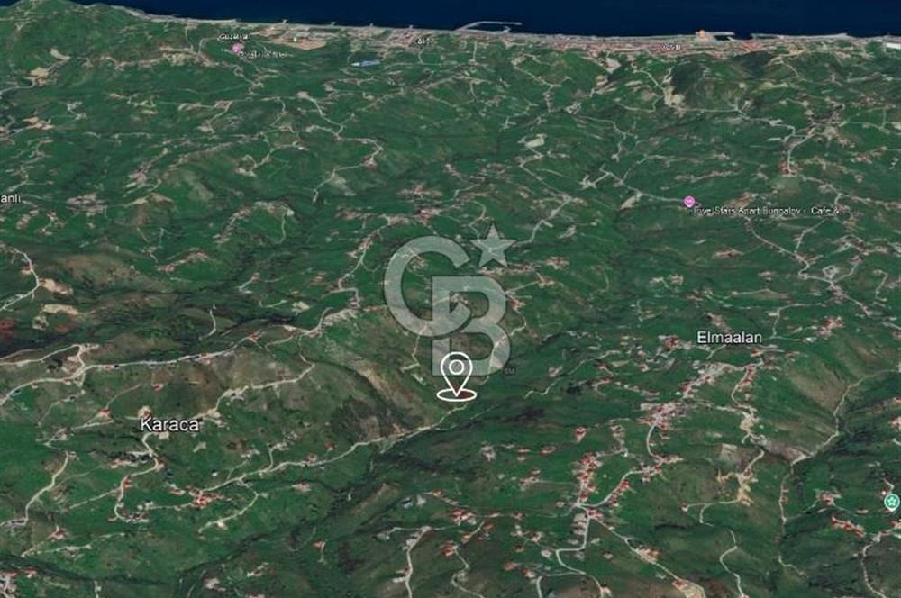 TRABZON ARSİN YENİMAHALLE SATILIK ARSA 