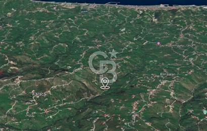 TRABZON ARSİN YENİMAHALLE SATILIK ARSA 