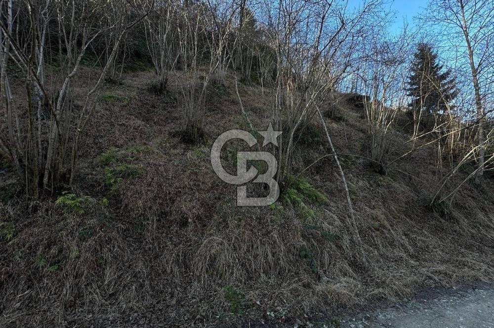 TRABZON ARSİN YENİMAHALLE SATILIK ARSA 